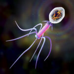 Bacteriophage on colorful background
